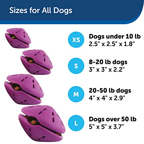 PetSafe Busy Buddy Twist 'n Treat Dispensing Dog Toy - Medium