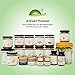 GREENBOW Organic Honey - 100% USDA Certified Organic, Halal, Non-GMO, Gluten Free, Organic Honey - Whole Food Organic Honey – 11oz (311g)