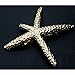 Ella-jewelry Fashion Stylish Metal Starfish Hairclip Special Sea Lover Star Hair Clip for Women Girl Baby