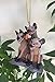 Disney Lion King Hyena Banzai Ed & Shenzi Christmas Ornament Style May Differ …