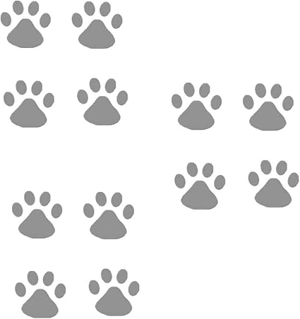 Amazonfr Fully 3 Set Chien Paw Empreinte Fleur Chauve