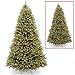 National Tree Company Pre-lit 'Feel Real' Artificial Full Downswept Christmas Tree, Green, Douglas Fir, Dual Color LED Lights, Includes Stand, 9 feet