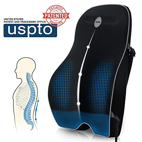 Winjoy Ergonomic Lumbar Support Pillow, 100 Pure Memory Foam Back