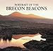 Portrait of the Brecon Beacons - Tom Hutton