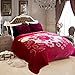 JYK 10 lbs King Ultra Silky Heavy Thick Korean Mink Bed Blanket, Two-Ply Printing Reversible (Flower&Red)