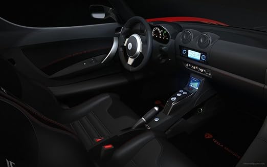 Tesla Roadster Sport Interior 36x48 Poster Banner Amazonco