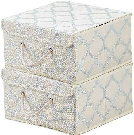 SILVER SWAN Premium Storage Box with Lid. Extra wide rope handle-Improved strong, secure fastening-Suitable for Clothes, Accessories, Magazines, Keepsakes, Toys, Bedding. For all rooms & wardrobe 2pck