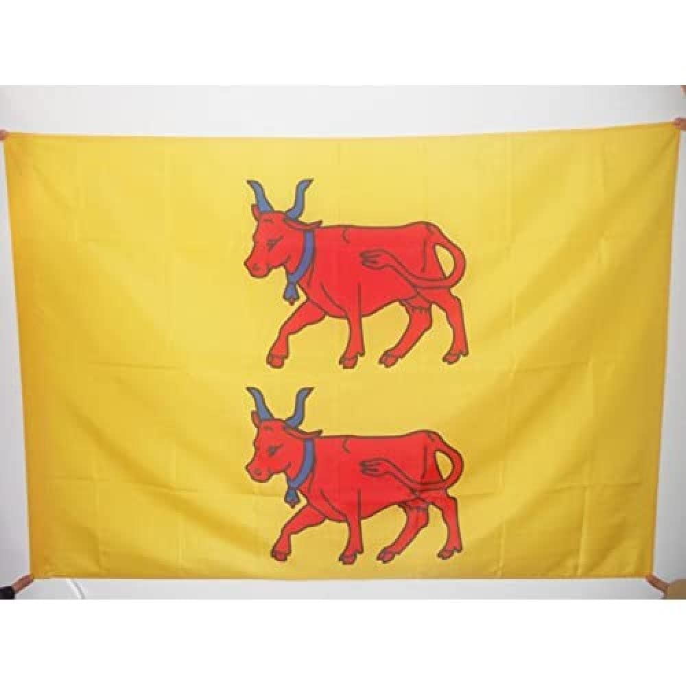 AZ FLAG - French Province of Bearn Flag - 2x3 Ft - Province of Bearn Banner with Sleeve - 100% Polyester - Fade Resistant - Vivid Colors - 2' x 3' Feet - 90x60 Cm