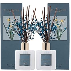 Cocorrína Premium Reed Diffuser Set with Preserved