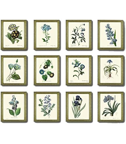 Amazon.com: Blue Flowers Botanical Print Set of 6 Wall Art Home