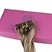 Full Shine Clip in Hair Extensions Balayage Hair Extensions Clip in Human Hair Balayage Golden Brown to Dirty Blonde Straight Hair Clip in Extensions Double Weft 7 Pcs 14 Inch
