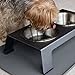 PetFusion Elevated Pet Feeder in Premium Anodized Aluminum (Short 4