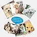 Professional Dog Grooming Clippers - Rechargeable Dog Grooming Kit and Dog Hair Clippers Cordless Suitable Dog & Cat and Other House Animals, Dog Hair Trimmer