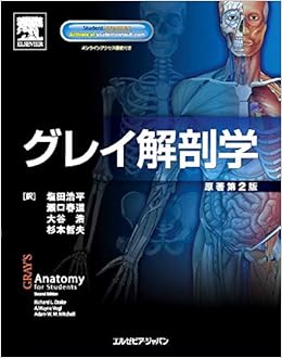 グレイ解剖学 原著第2版 (日本語) 単行本(ソフトカバー) – 2011/8/26 の本の表紙