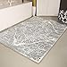 4620 Distressed Silver 7'10x10'6 Area Rug Carpet Large New