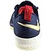 Nike Lebron XIV Low Men's Basketball Shoes Black/Black-Dark Grey 878636-002 (7 D(M) US)