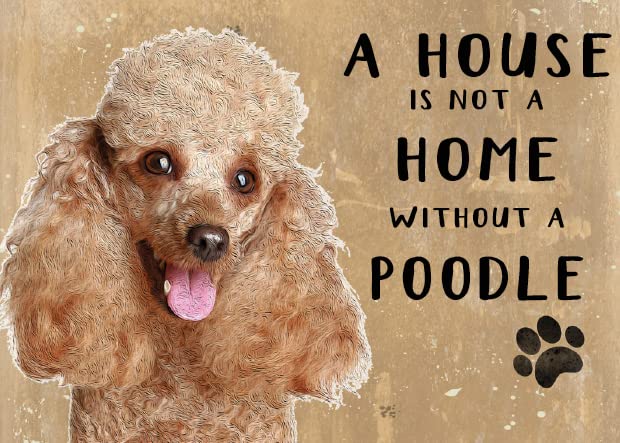 Small (150 x 200mm) Metal Sign - A House is Not a Home - Poodle, Apricot