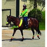 hi viz horse riding vest with pockets