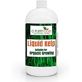 Organic Kelp Fertilizer by GS Plant Foods - Omri Certified (1 Quart) - Kelp Fertilizer for Gardens, Lawns & Soil