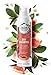 Herbal Essences Biorenew White Grapefruit & Mosa Mint Dry Shampoo, 4.9 FL OZ