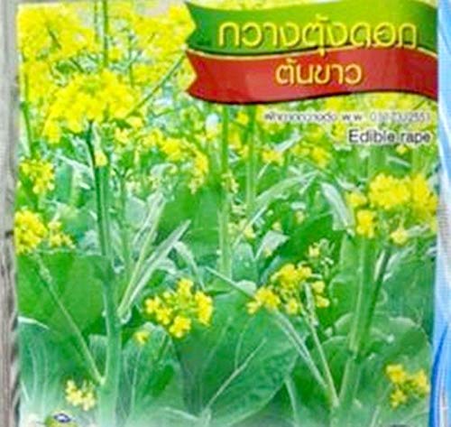 Portal Cool 10 G 4350 Seeds Vegetable Garden Choy Sum Yard Patio Balcony Yard D285