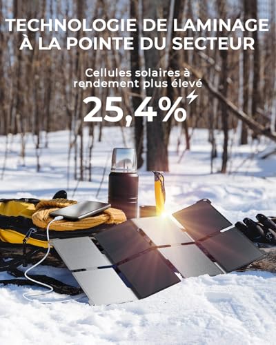 [Pocket Size] BigBlue 25W Mini Portable Solar Charger, Foldable Solar Panel with 2 USB A/C Ports, IP68 for Outdoor, Compatible with Phones, Tablets, External Battery, etc.