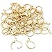 Gofypel Earrings Earwire Leverback Earring Hook Leverback Earwire Gold Plated French Earring Hook 50 PCS primary