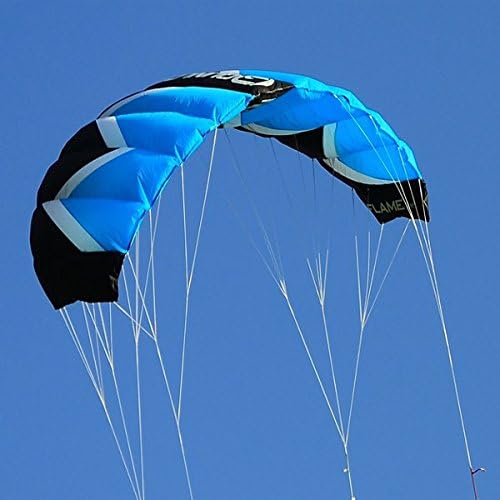 Qunlon Q2 4-Line Traction Stunt Kites Power Kites Sports Beach Kites