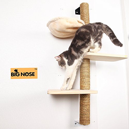 BIG NOSE- Wall Mounted Cat Scratching Post Multi Level Cat Shelves with Solid Wood Steps and Sunny Seat Hammock