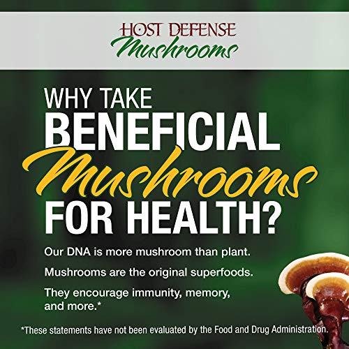 MyCommunity Mushroom Capsules - Image 9