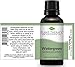 Plant Therapy Wintergreen Essential Oil. 100% Pure, Undiluted, Therapeutic Grade. 30 ml (1 oz).