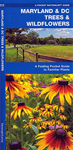 Maryland & DC Trees & Wildflowers: A Folding Pocket Guide to Familiar Species (Pocket Naturalist Guide Series) Maryland & DC Trees & Wildflowers: A Folding Pocket Guide to Familiar Species (Pocket Naturalist Guide Series)
