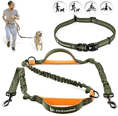 dog walking training collar