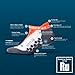Thirty 48 Running Socks for Men and Women by Features CoolMax Fabric That Keeps Feet Cool & Dry - 1 Pair, 3 Pair, or 6 Pair