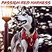 TIANYAO Large Red Dog Harness No Pull Reflective Oxford Material Soft Pet Vest Adjustable for Large Dogs Easy Control HarnessWith Dog Collar (L, Red)