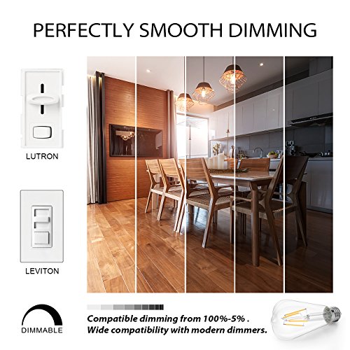 LVWIT ST21 LED Filament Bulb 4.5W(40 Watt Equivalent) Dimmable 3000K Soft White Vintage Edison Light Bulb E26 Medium Base (6-Pack) (4.5W- Soft White)