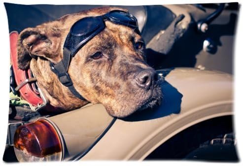 Blair Louisa motorized dog dogs Rectangle Decorative Zippered Pillow Case (two sides)
