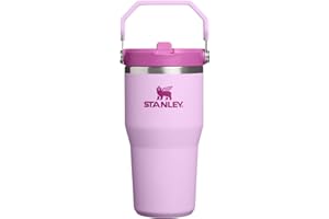 STANLEY IceFlow 2.0 Flip Straw Tumbler with Handle 20 oz | Twist On Lid and Flip Up Straw | Leakproof Water Bottle | Insulate