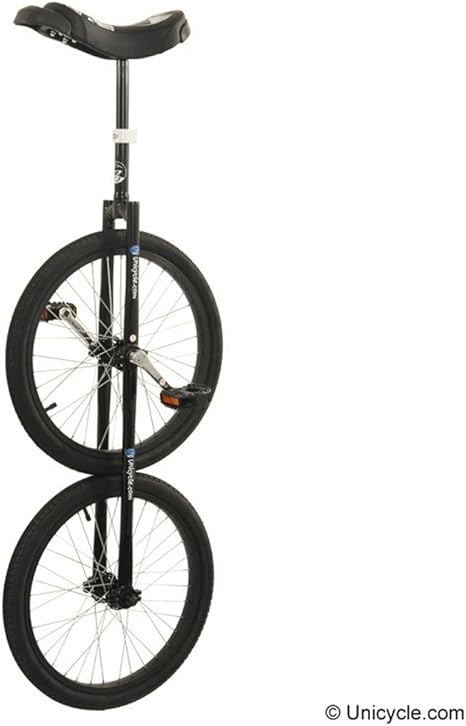 two wheel unicycle