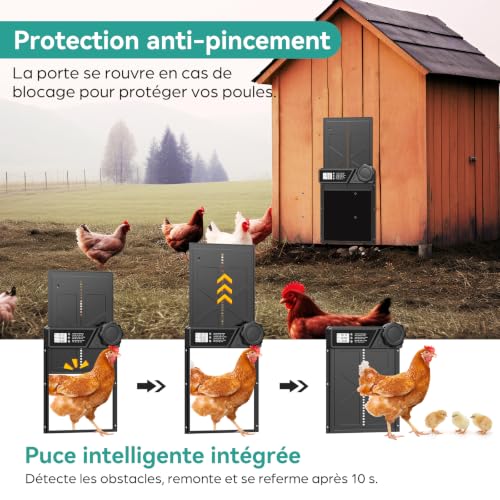 Porte Poulailler Automatique Grande à Piles en Aluminium | Minuterie, Fonction Anti-pincement, Écran LCD Étanche, Pour Poules, Canards