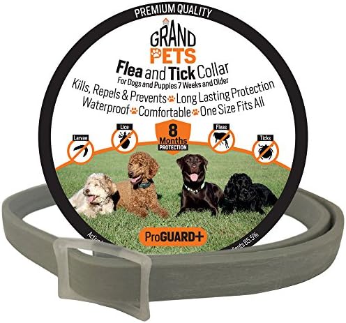 Flea and Tick Collar for Dogs and Puppies - Kills, Repels, & Prevents Pests for 8 Months - Waterproof - Stops Bites & Itching - For Large, Medium, and Small Size Dogs. One Size Fits All (Grey)