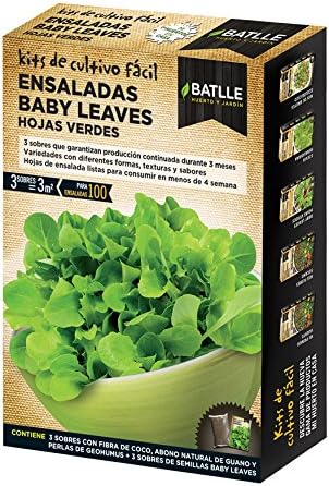 Huerto Urbano - Baby leaves Hojas Verdes - Batlle: Amazon.es: Jardín