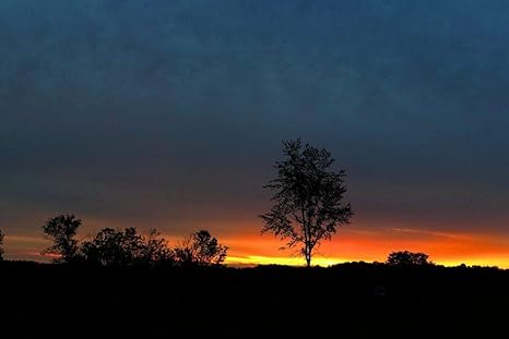 Amazon Co Jp 夕日の壁紙で丘と木のシルエット 自然の壁紙 キャンバス ステッカー 印刷 壁紙ポスター はがせるシール式 写真 特大 絵画 壁飾り60cmx40cm ホーム キッチン