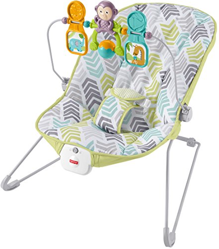 Fisher-Price Deluxe Bouncer: Green/Blue/Grey