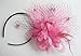 Cizoe Fascinators Hats for Women with Hair Clip Tea Party Hats Feather Wedding Headware Bridal Headpiece(1-Pink)