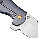 KIZER Cutlery Pocket Knives Flipper Knife Frame Lock Titanium Handles Tactical EDC Folding Knife, Sheepdog C01C Ki4488A