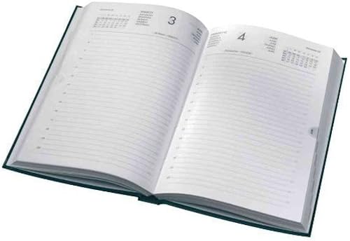 Download Lecas - 1 Agenda civil Journalier CARRE TRAVERS - format 14x22cm, assorti, 2020 PDF