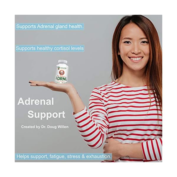 Advanced Powerful Adrenal Support Supplement Dr. Willen’s Adrenal