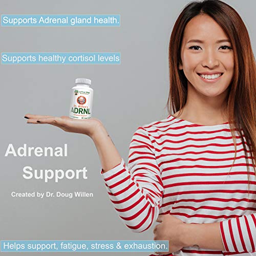 Advanced Powerful Adrenal Support Supplement Dr. Willen's Adrenal