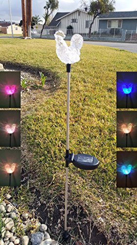 Set of 2 Clear Acrylic Rooster Solar Yard Stick Color Change Light